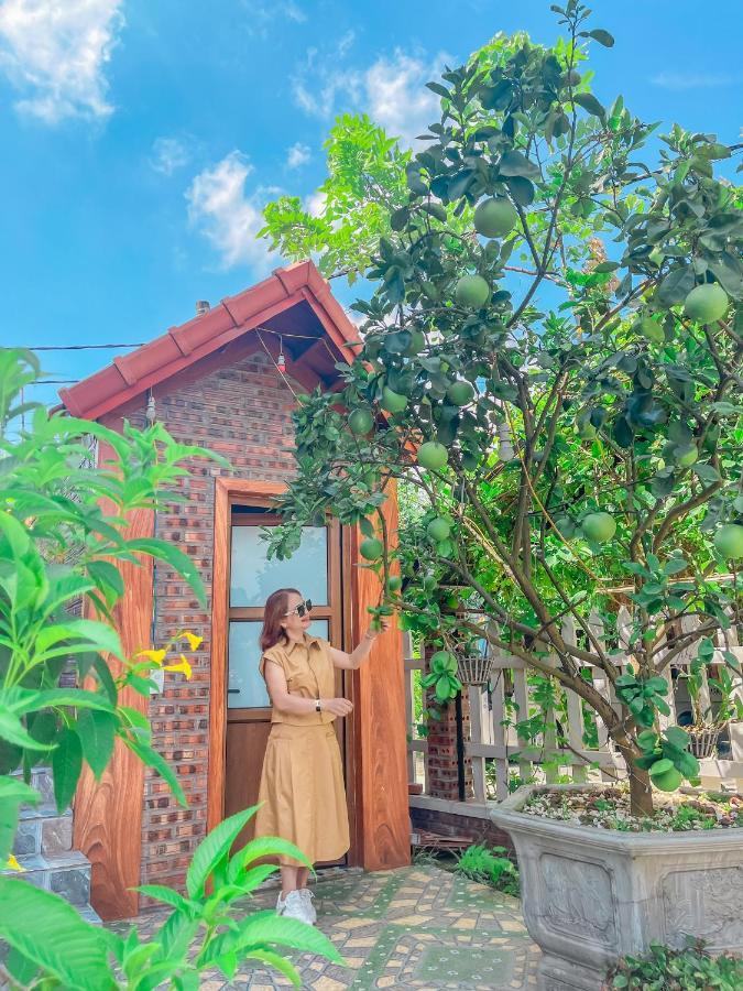 Cosiana Homestay Ninh Binh Eksteriør billede