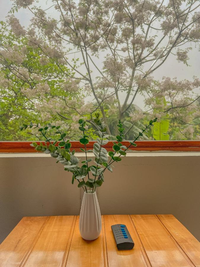 Cosiana Homestay Ninh Binh Eksteriør billede